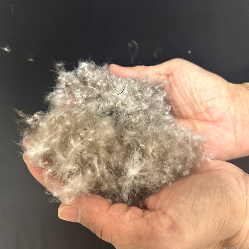 50 % graue Entendaunen 50 % graue Entendaunen