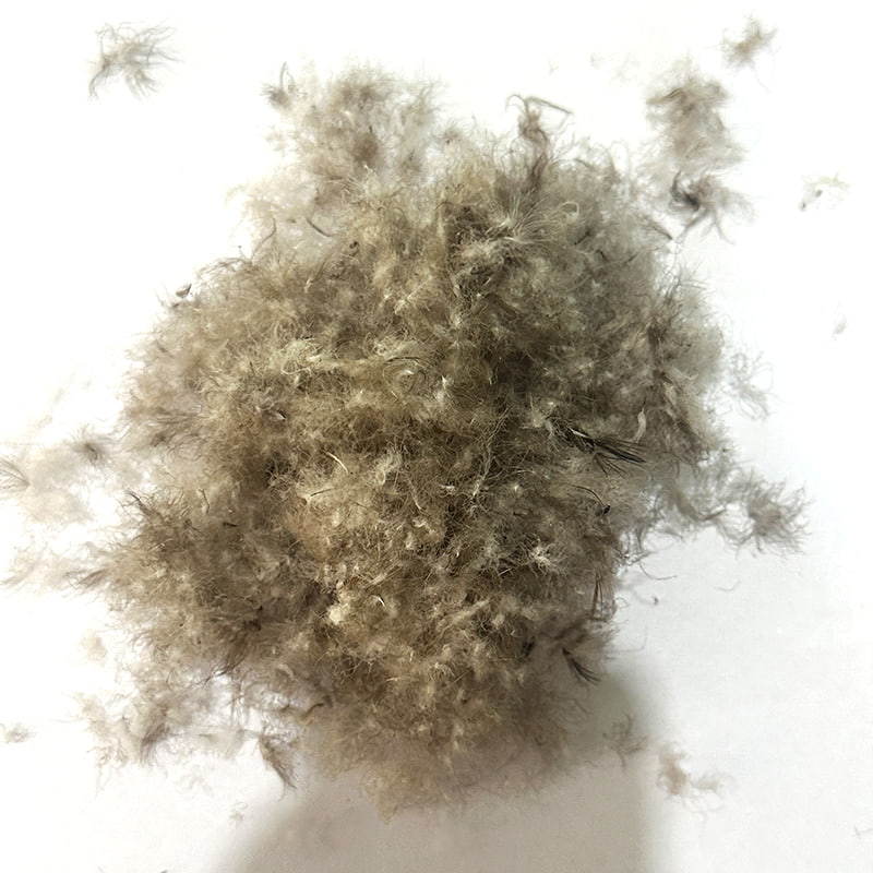 50 % graue Entendaunen 50 % graue Entendaunen