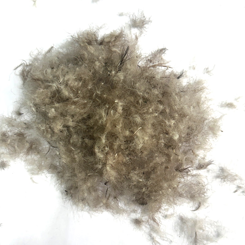 80 % graue Entendaunen 80 % graue Entendaunen