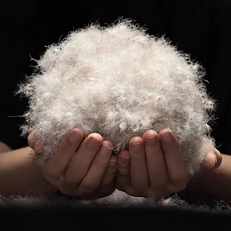 50 % graue Entendaunen 50 % graue Entendaunen