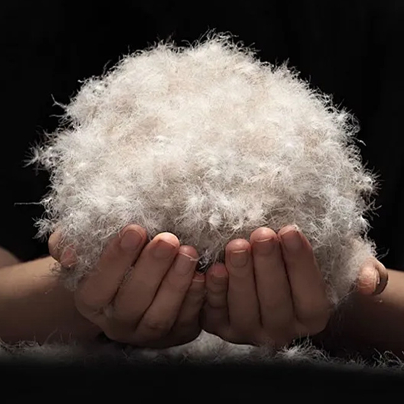 90 % graue Entendaunen