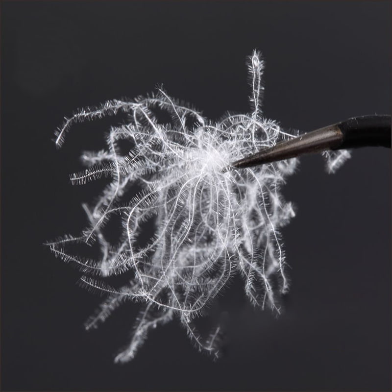 80 % reine weiße Entendaunen