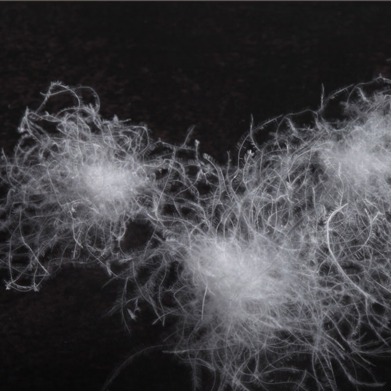 80 % weiße Gänsedaunen 80 % weiße Gänsedaunen