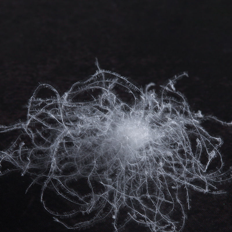 80 % weiße Gänsedaunen 80 % weiße Gänsedaunen