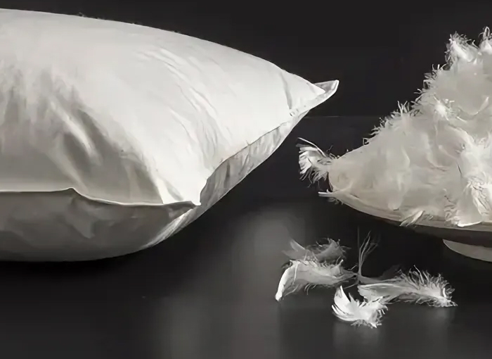 Zhejiang Shengjie Daunenprodukte Co., Ltd.